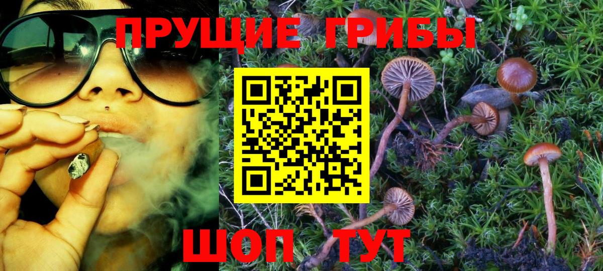 Галлюциногенные грибы прущие грибы Фурманов