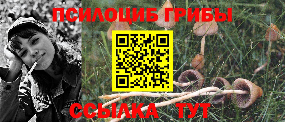 Галлюциногенные грибы ЛСД  Вход с VPN  Фурманов 